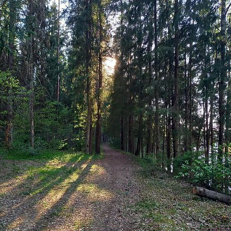 Jānamuiža Ozolu Gatve 2- No Cesim 7 Km 아파트 외부 사진
